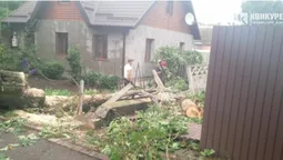 У Луцьку на Клима Савури під час грози впало дерево та зірвало лінію електропередач (фото)
