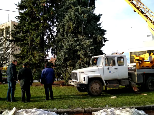 У Луцьку прикрашають головні ялинки міста (фото)