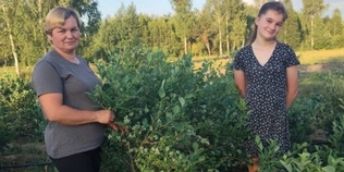 Сімейна справа, яка об'єднує: як родина з Волині розвиває бізнес на лохині (фото)