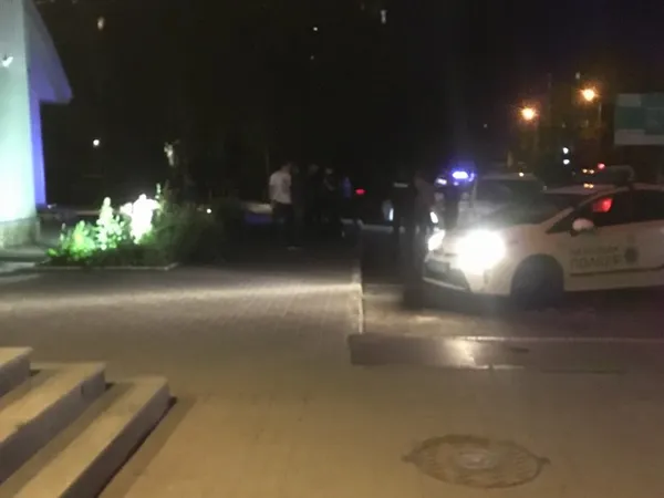 Бились та пручались: у Луцьку затримали агресивних чоловіків (фото)
