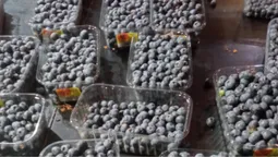 Скільки коштують сезонні продукти у супермаркетах Луцька (ціни, фото)