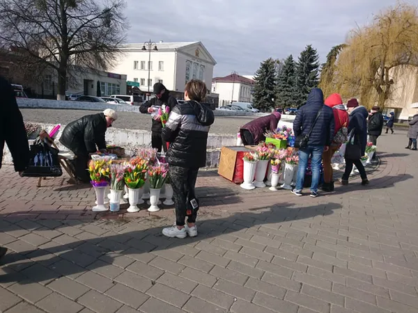 Ціни на квіти у Луцьку поки не зросли