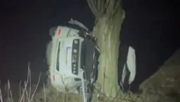 Водія дістають з авто: у Нововолинську авто виїхало на зустрічку та влетіло у дерево (відео)