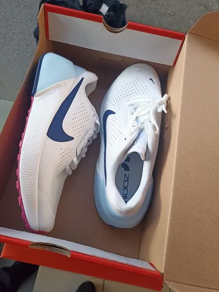 Автошини Michelin та одяг і взуття Nike: через «Устилуг» незаконно везли 113 кг брендового товару (фото)