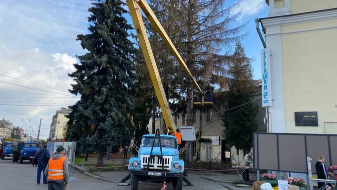 У центрі Луцька зрізають хворі дерева (фото, відео)