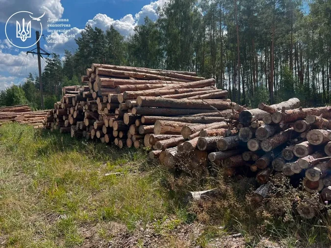 На Любомльщині серед лісу помітили 70 м³ «лівої» деревини (фото)