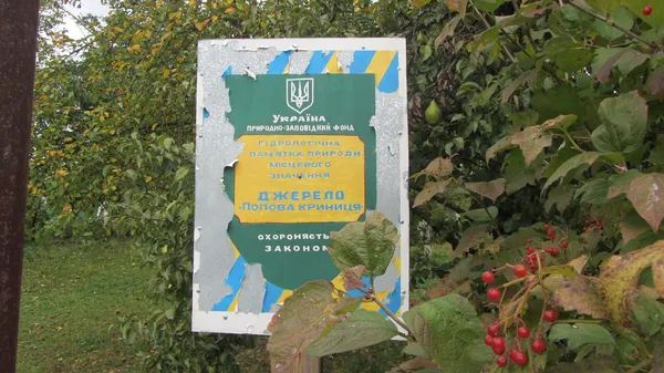 На Волині хочуть позначити виток Прип'яті – звести муровану капличку (фото)