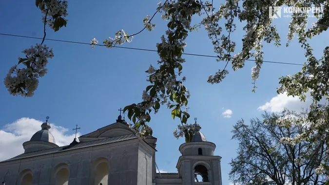 Старе місто у Луцьку буяє квітами (фото)