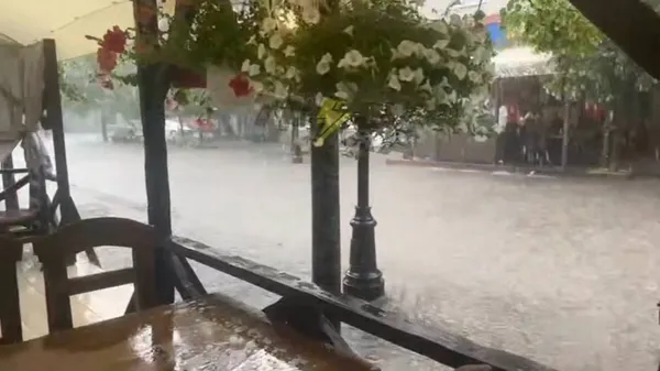 Негода на Волині: дерево впало на вантажівку, а вулиці Луцька пішли під воду (фото, відео)