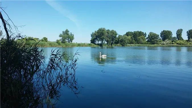 На Волині товариство «загарбало»майже 200 гектарів ділянки з водоймами