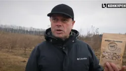 Під Луцьком ростуть плантації фундука (відео)