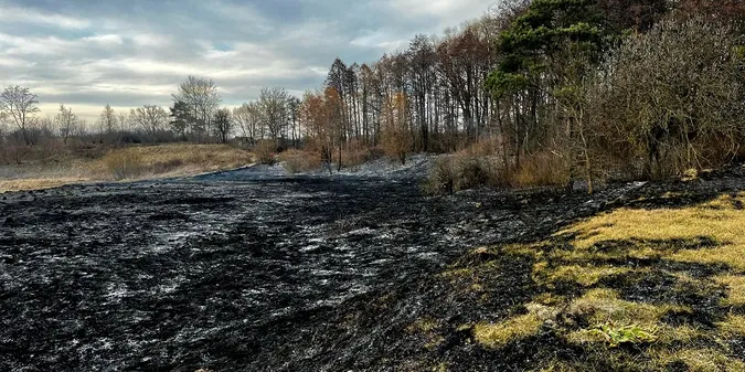 На Волині за тиждень вигоріли понад 230 гектарів землі