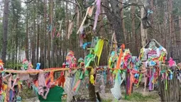 Хрести серед лісу і загадкові зцілення: на Поліссі є місце, куди їдуть за дивом (фото)