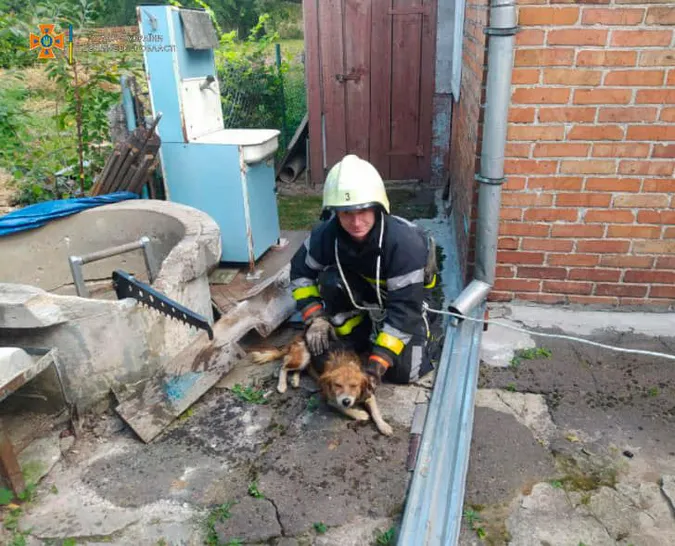 На Волині рятувальники витягнули з колодязя мокрого, але милого песика (фото)