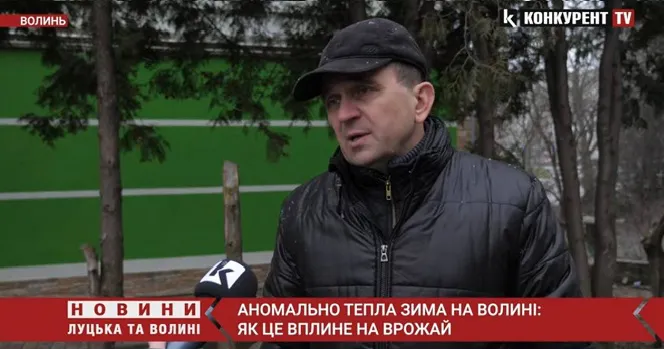 Аномально тепла зима на Волині: як це вплине на врожай (відео)