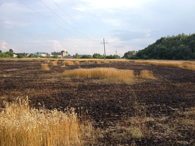 Волинські рятувальники ліквідували 21 пожежу за минулий тиждень