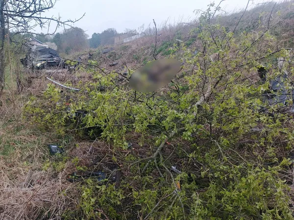 Загинули водій і пасажир: на Волині сталася жахлива ДТП (фото)