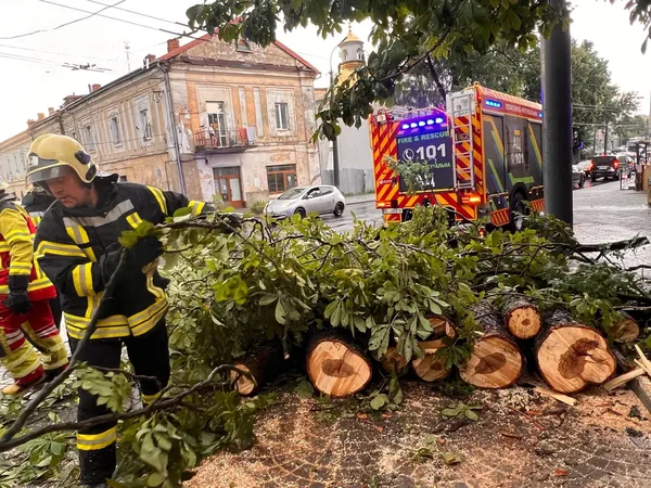 Після буревію у Луцьку рятувальники прибирали дерева з доріг і дворів (фото)
