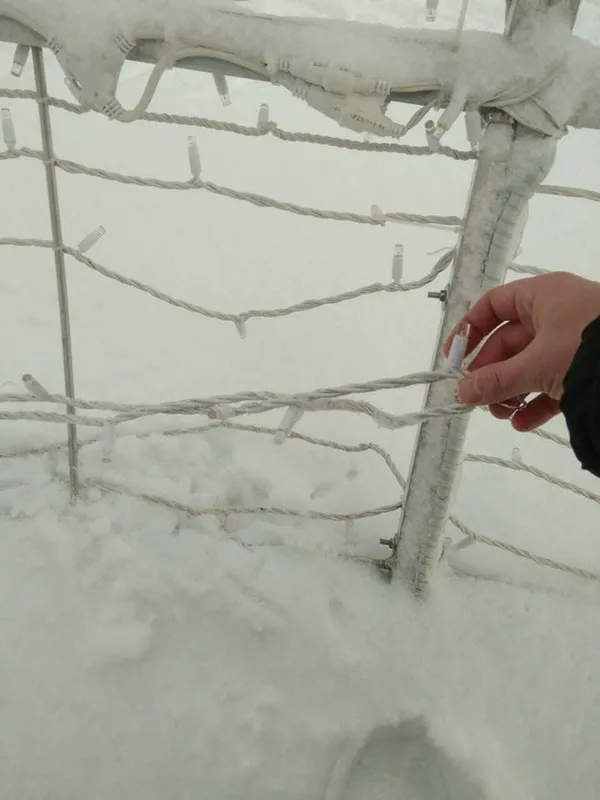 У центрі Луцька знову пошкодили новорічну кулю (фото)