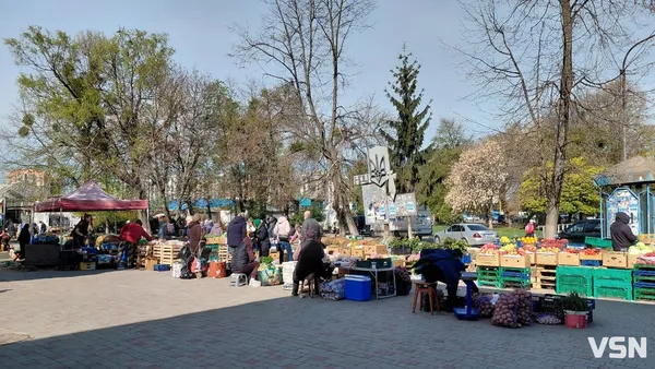 Скільки у Луцьку коштує перша молода картопля