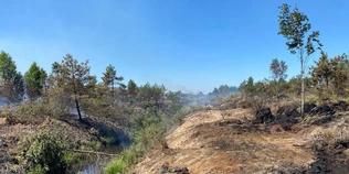 Розгорілося на чотири гектари: на Волині гасять пожежу торфовища (фото)