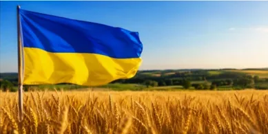 Як у Луцьку відзначатимуть День Державного Прапора та День Незалежності України: програма заходів