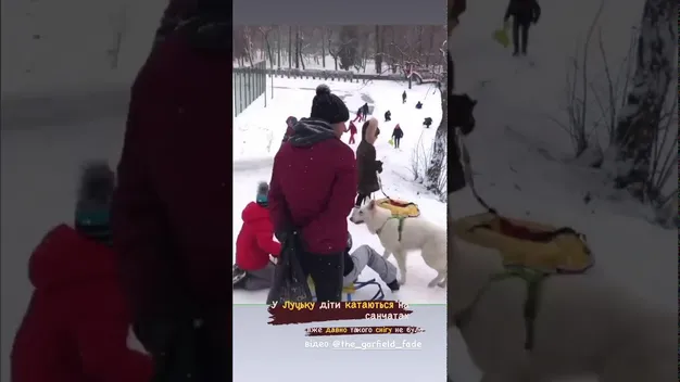 На санчатах, на лопатах і на животі: луцька малеча дочекалася снігу (фото, відео)