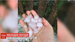 У Турійському районі величезний град знищив городину