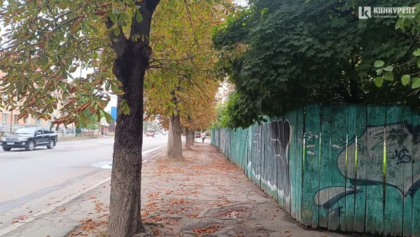Приречені на болячки: у Луцьку нічого не роблять з каштанами