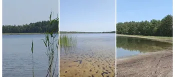 Повз зарослу «Кукушку» до таємничих озер: волинянка показала дикий рай Полісся (відео)