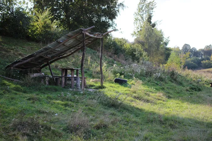 Бабине літо у селі під Луцьком (фото)