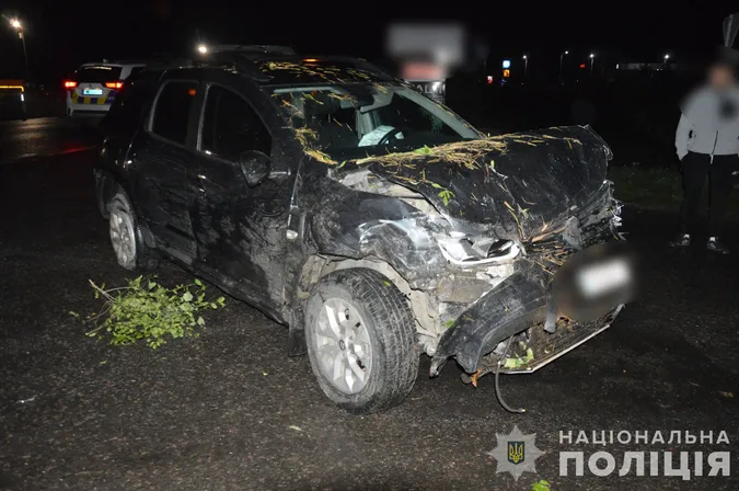 Авто влетіло в кущі: у Ковелі зіткнулися Kia та Renault (фото)