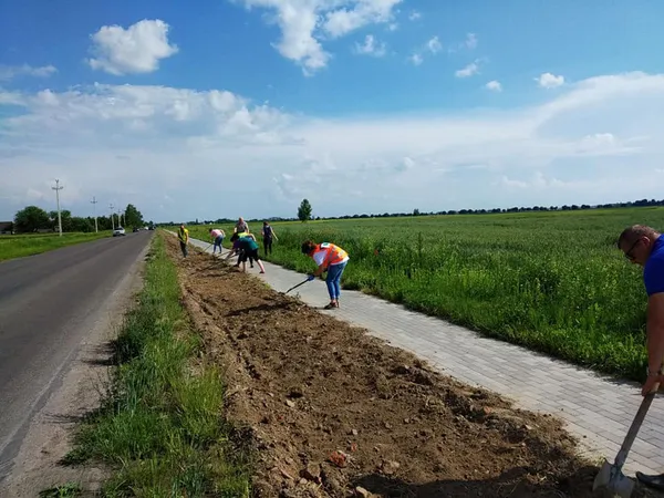 «Квітучий прапор України» збільшився на 2 км і простягнувся вздовж дороги Луцьк-Жидичин