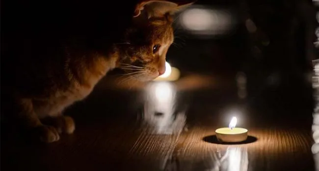 💡Графіки відключення світла на Волині на 28 червня