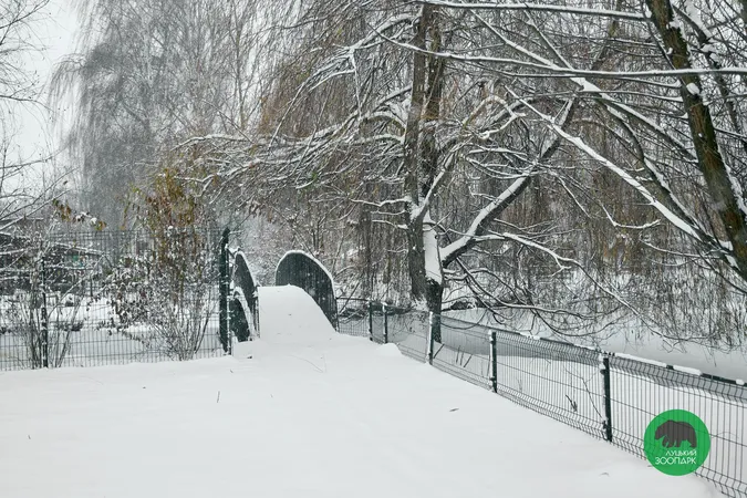 Луцький зоопарк накрило сніжною ковдрою (фото)