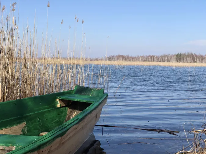 На Волині є невелике мальовниче озеро, де водиться багато риби