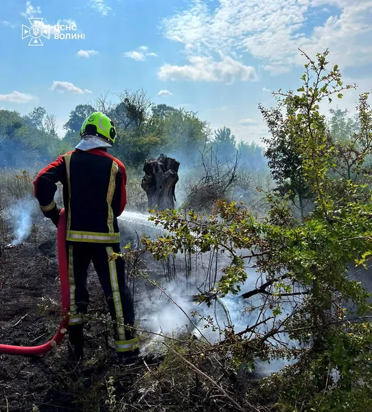 На Волині через людську необережність і скляну призму спалахнули три пожежі (фото)