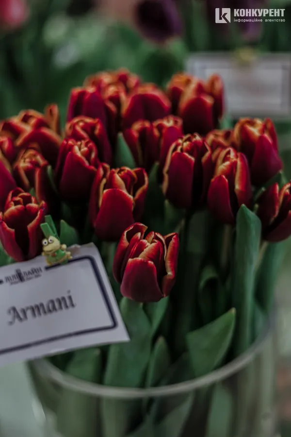 Armani, Dior та ванна у квітах: біля Луцька – pre-party «Волинської Голландії» (фото)