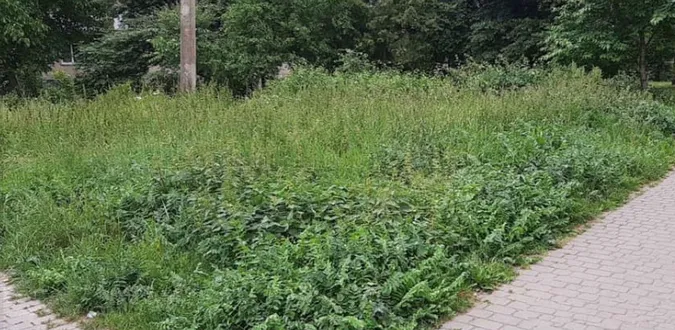 У Луцьку мунвартівці дали прочухана за траву (фото)
