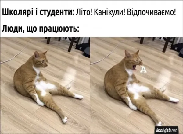 «А голову ти вдома не забув?»: добірка жартів та мемів про школу