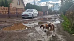 Без ремонту понад десять років: у Луцьку в одному з районів мешканці скаржаться на глибокі ями на дорозі (фото, відео)