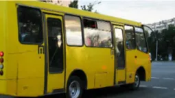 Заощадив майже 4 мільйони: луцький перевізник підробляв документи (відео)