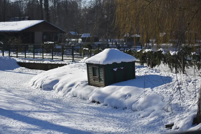Як зустрічають сніг мешканці Луцького зоопарку (фото)