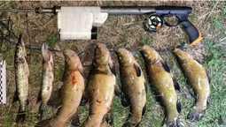 У Луцькому районі браконьєри настріляли щук і линів на 70 тисяч (фото)