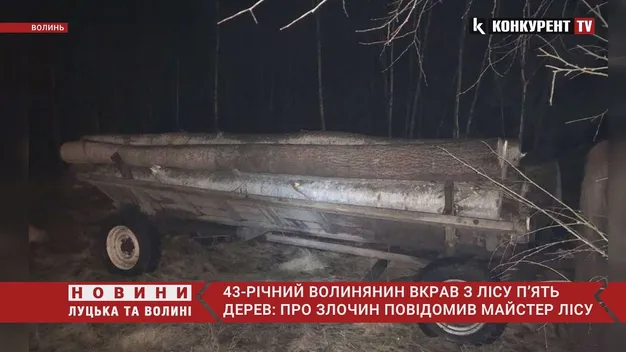 Головне у Луцьку: ТОП новин п'ятниці, 11 лютого
