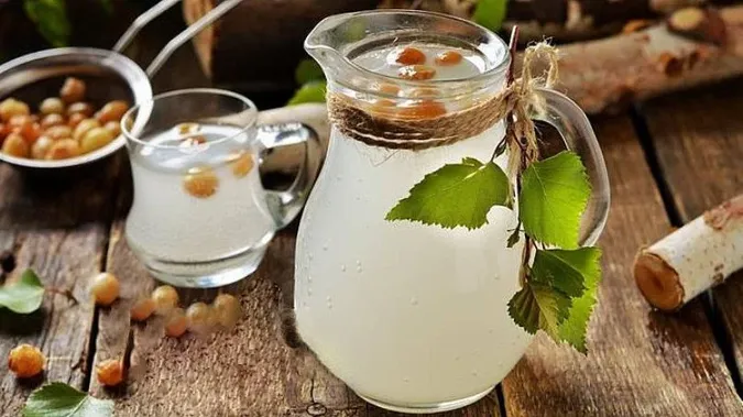 Квас з березового соку: рецепти
