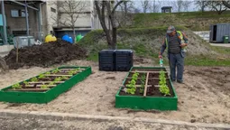 У Луцьку облаштували екологічний город (відео)
