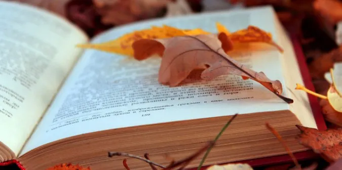 Книги, які ідеально пасуватимуть до осінніх вечорів