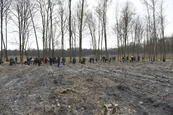 На Волині створили 10 гектарів нових лісів (фото)