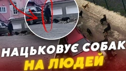 Б'є лопатою та нацьковує собак: у Ковелі жителі скаржаться на агресивного безхатька (відео)